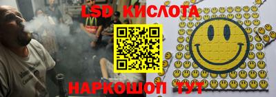 крисы Кунгур