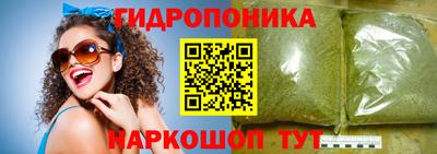 молекула духа Кулебаки