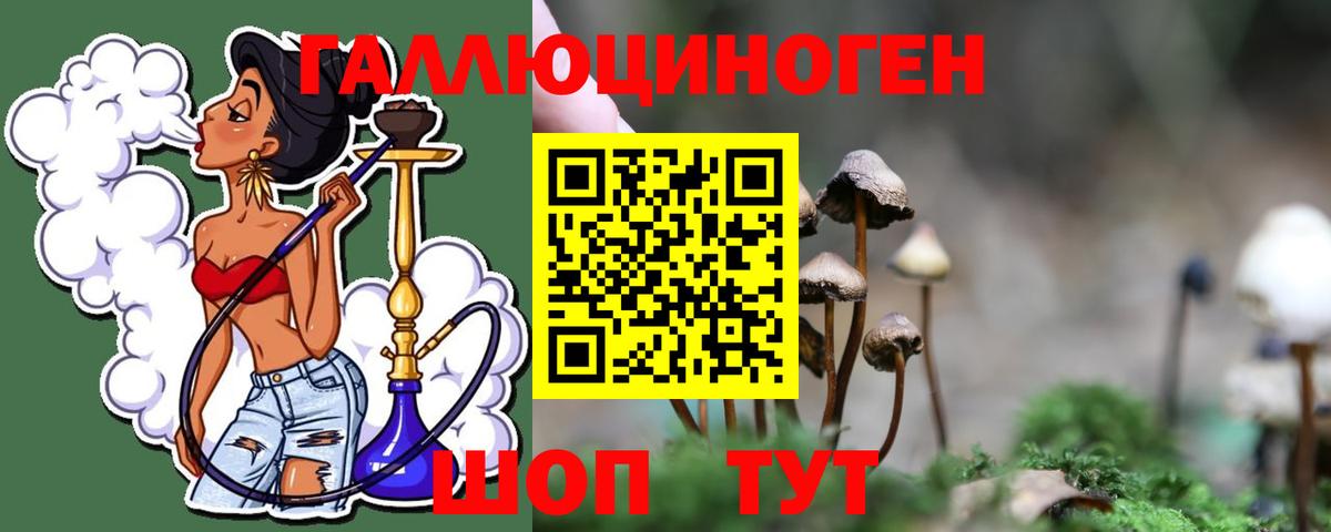 Калининград  Псилоцибиновые грибы Psilocybine cubensis  Вход с VPN 